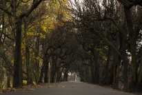 Port of Trees (Sopos, Gdansk, Poland)